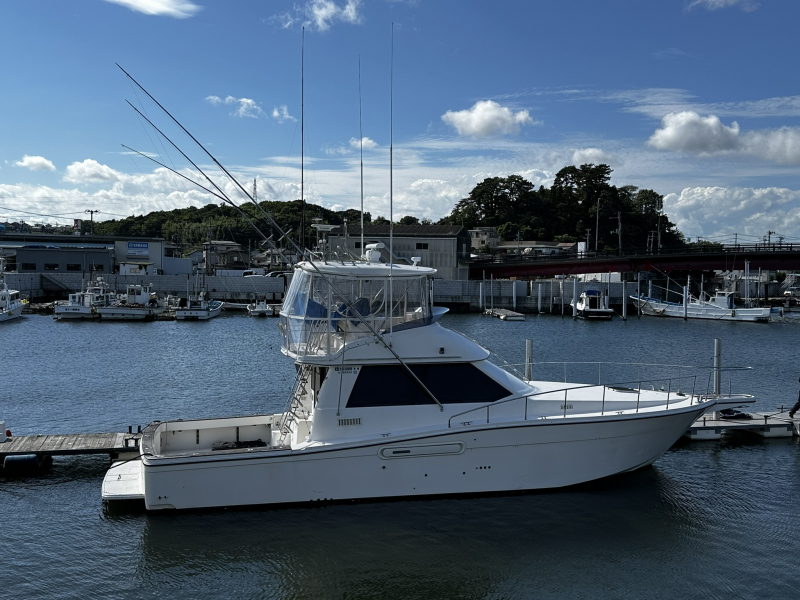 ヤマハ Y-50写真