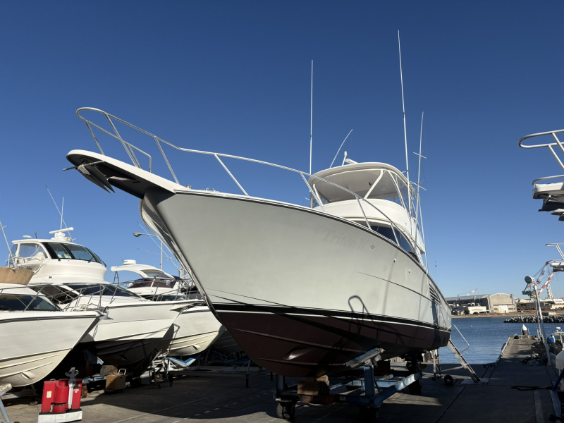 バイキング 44 Convertible写真