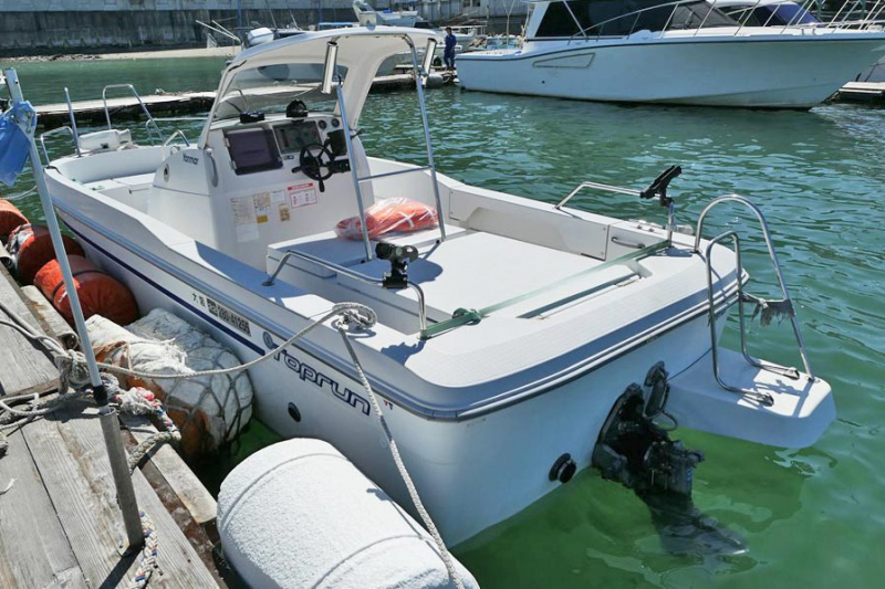 ヤンマー FX20 完全陸上保管艇/船底塗料無し 中古艇 和歌山