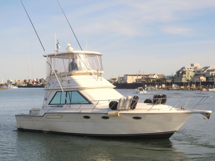 ティアラ 3600 フライブリッジコンバーチブルクルーザー 425HP搭載艇