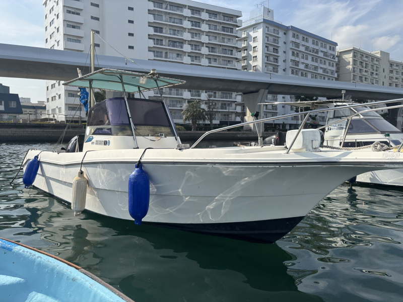 スズキ F230 初期型モデル　オリジナルTトップ