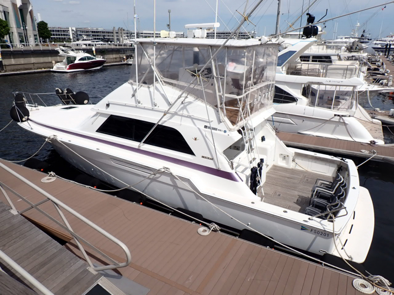 バートラム 50写真