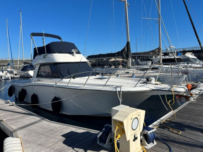 ヤマハ Y-31コンバーチブル