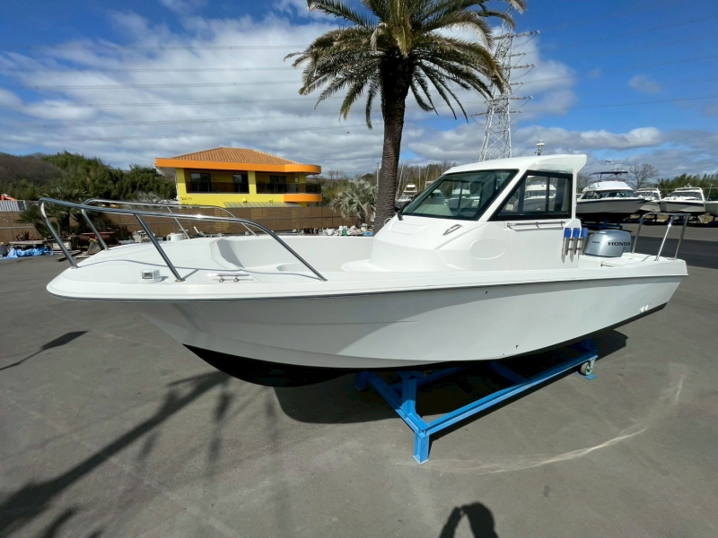 トーハツ TF-23Xα エンジン始動・チルト動作　動画付き