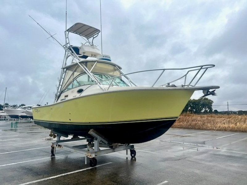 アルべマーレ 280