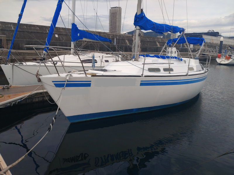 カスタム(国内) N300トランパー