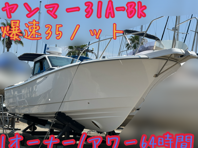 ヤンマー EX31