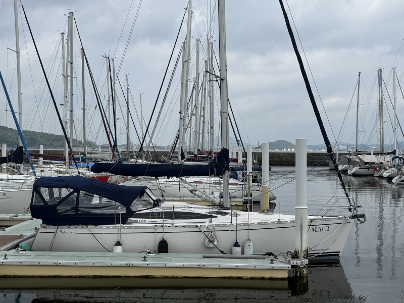 DELPHIA DELPHIA-37
