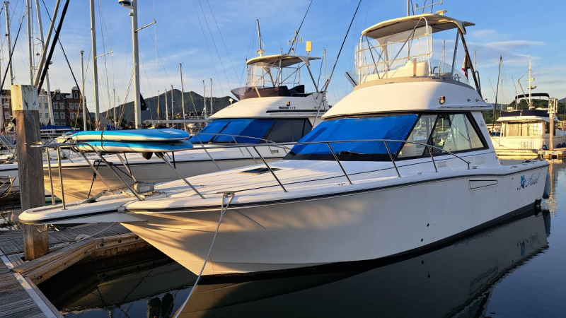 ヤマハ SF-35 とても綺麗で整備の行き届いた艇です。今年は、これで決まり！