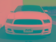 ZOOM