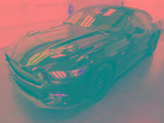 ZOOM