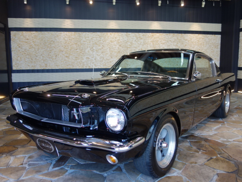 フォード マスタング ファストバック　FORD5.0L　302cu．in　E／g換装