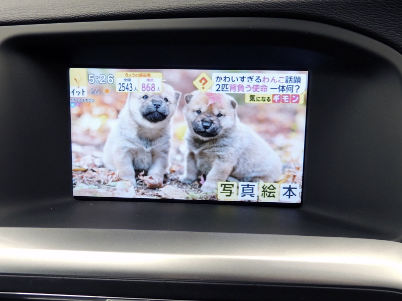 car thumbnails