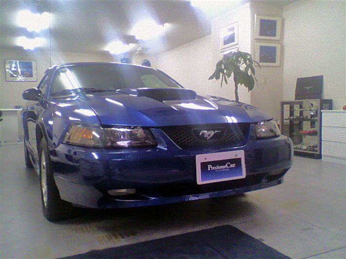 フォード マスタング G-ｽﾍﾟｼｬﾙｽﾍﾟｯｸ ｿﾆｯｸﾌﾞﾙｰﾒﾀﾘｯｸ 特別仕様車 中古車