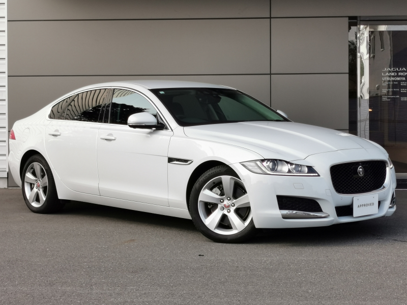 XF