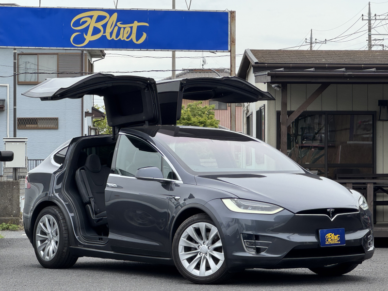 テスラ モデルX 100D エンハンスオートパイロット　