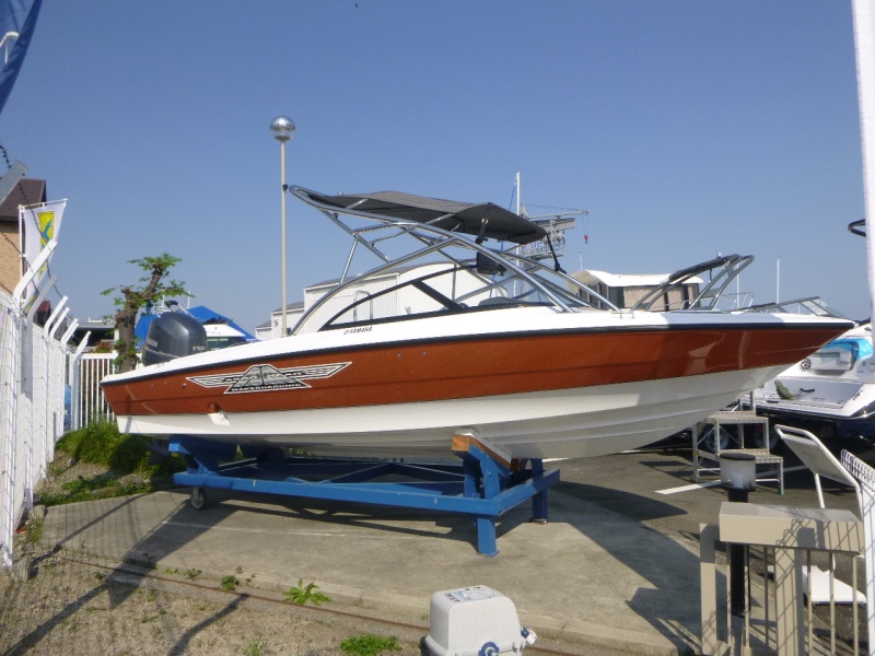 ヤマハ AG-21BR-EX