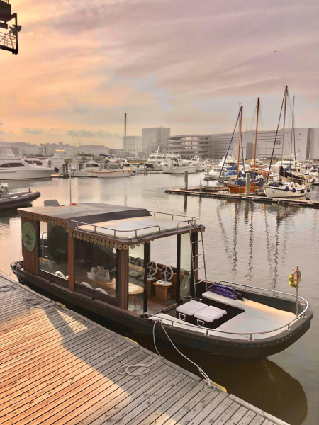 その他メーカー(国内)  