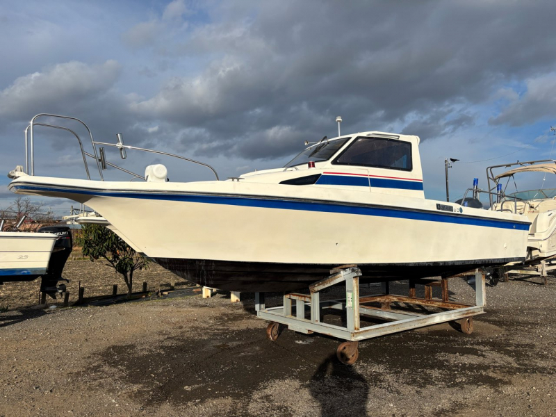 トーハツ ＴＦ235 エンジン高馬力艇