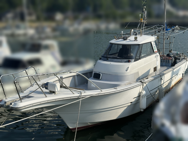 ヤンマー EX38V