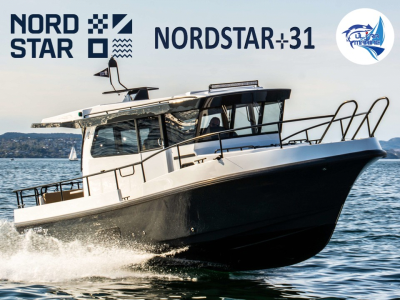 ノードスター 31+ 