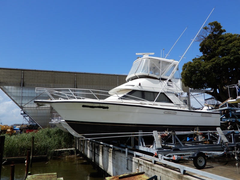 フェニックス 33