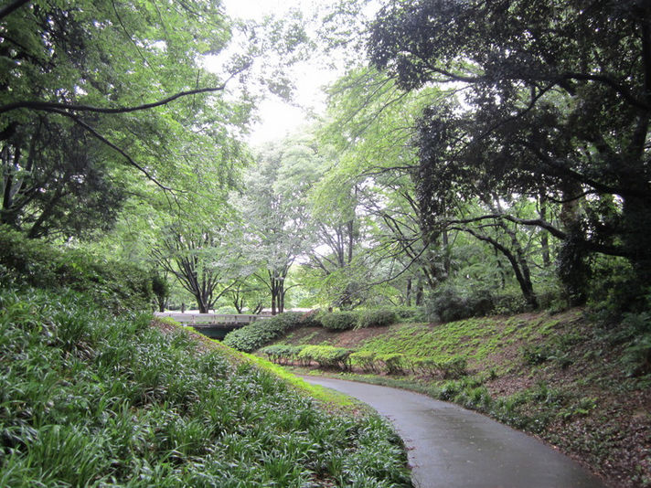 blog写真詳細