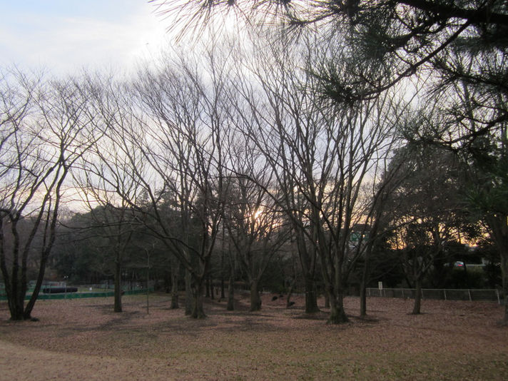 blog写真詳細