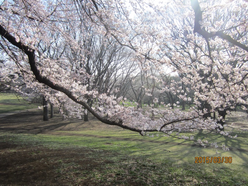 blog写真詳細