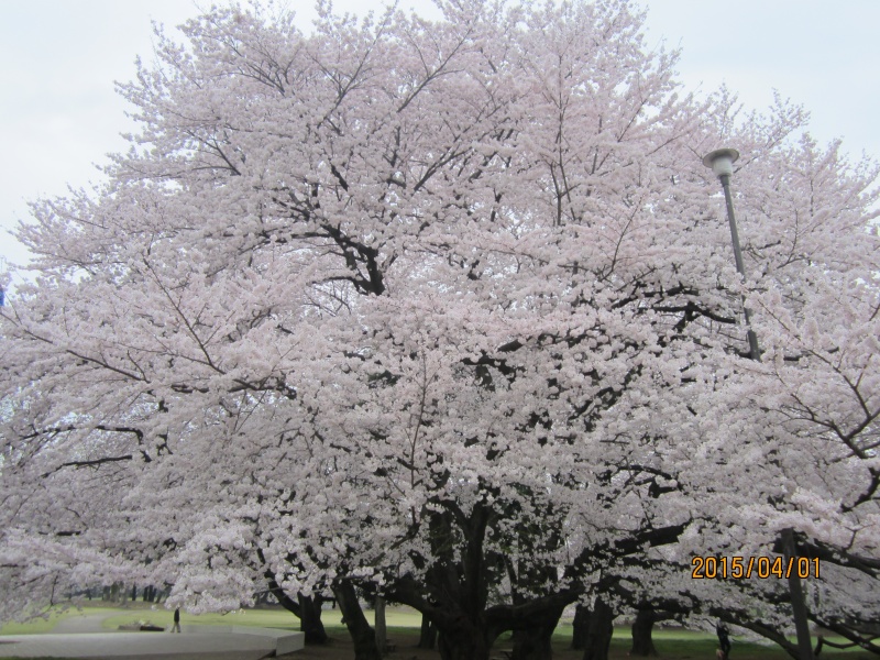 blog写真詳細