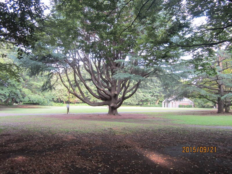 blog写真詳細