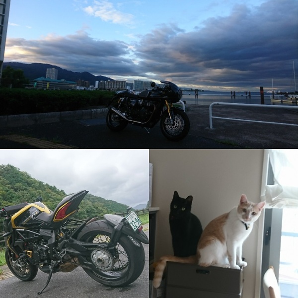 blog写真詳細