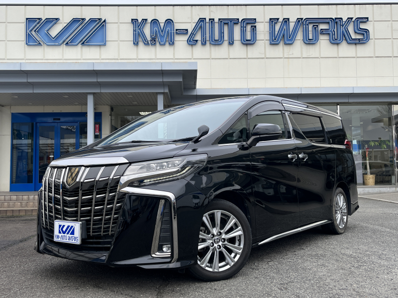 トヨタ アルファード アルファードS タイプゴールド 後席モニター ムーンルーフ パワーバックドア