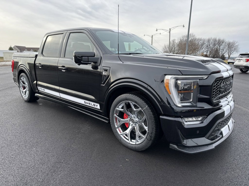 フォード F-150 シェルビースーパースネーク