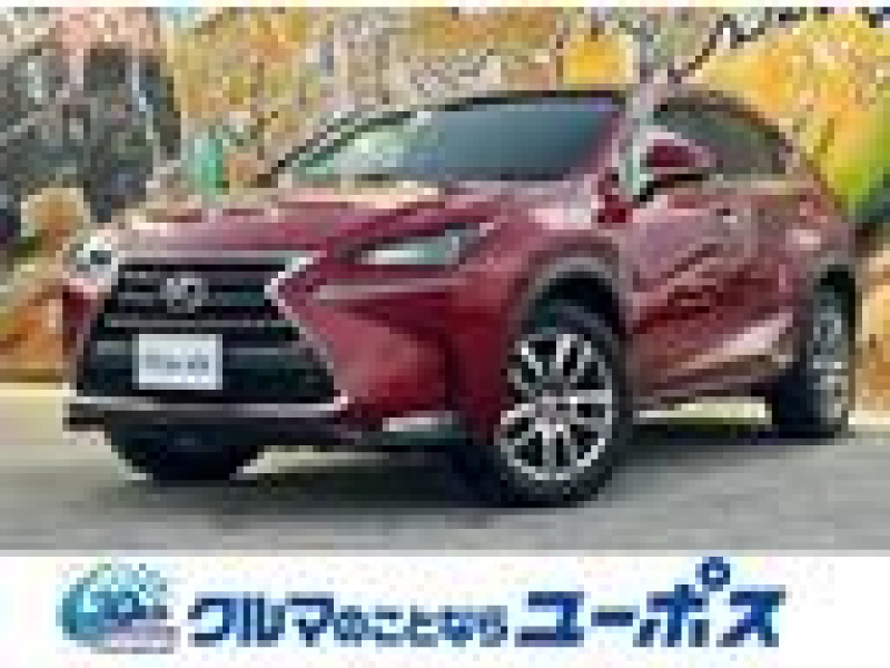 レクサス NX NX200t　OP1年保証対象車両　前席パワーシート　パワーバックドア　バックカメラ（サイドカメラ）クリアランスソナー　電動パーキングブレーキ　ETC　クルーズコントロール　パドルシフト