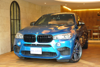 BMW X6 中古車