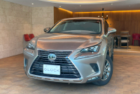 レクサス NX 300 Iパッケージ 三眼フルLEDヘッドランプ