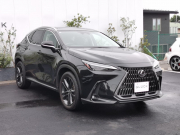 レクサス NX 中古車