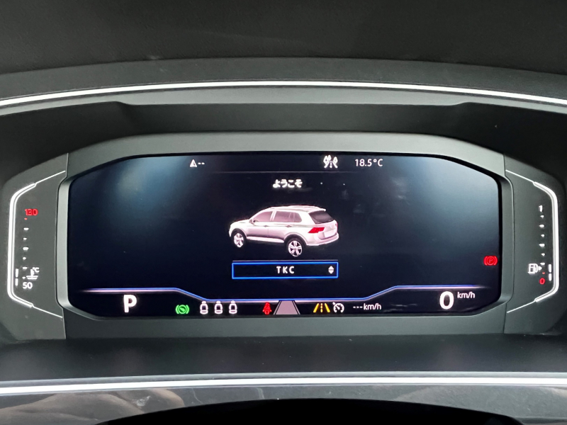 フォルクスワーゲン ティグアン 中古車