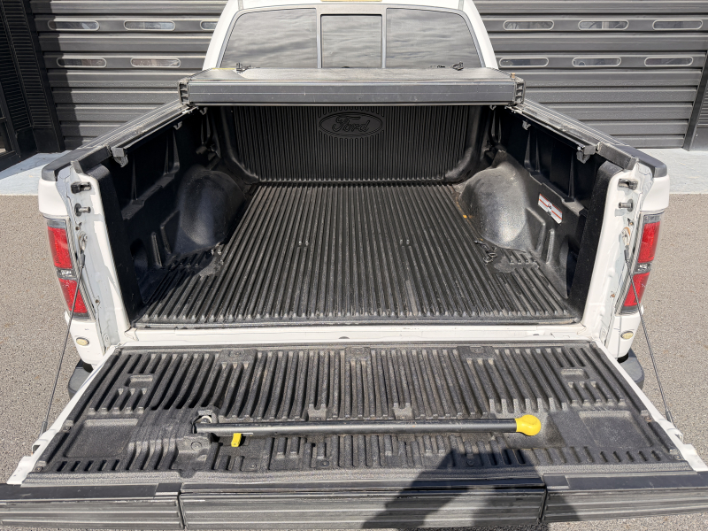 フォード F-150 中古車