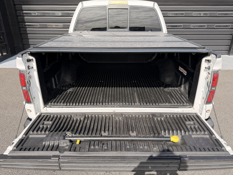 フォード F-150 中古車