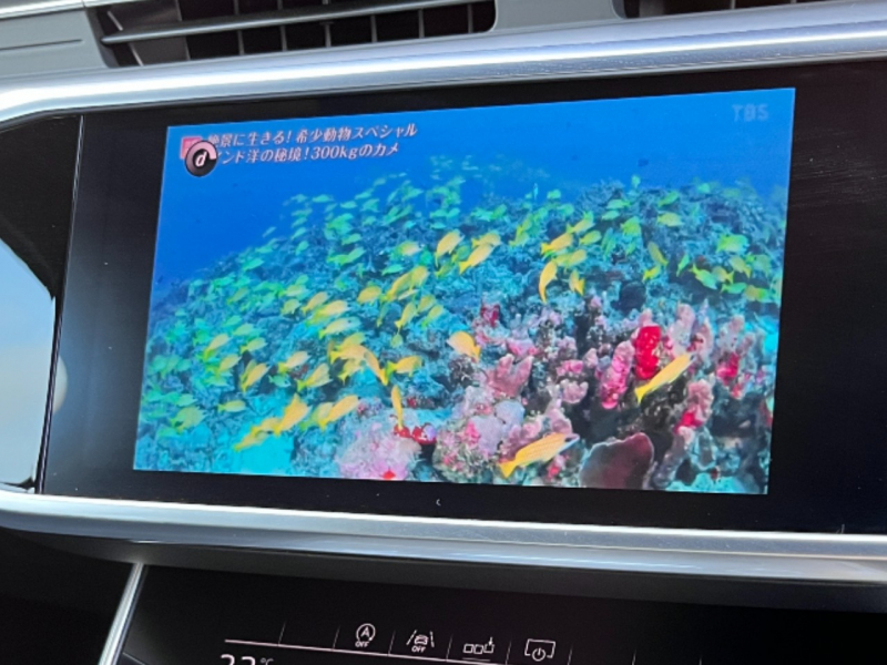 アウディ A6アバント 中古車