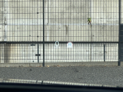 ボルボ S60 中古車