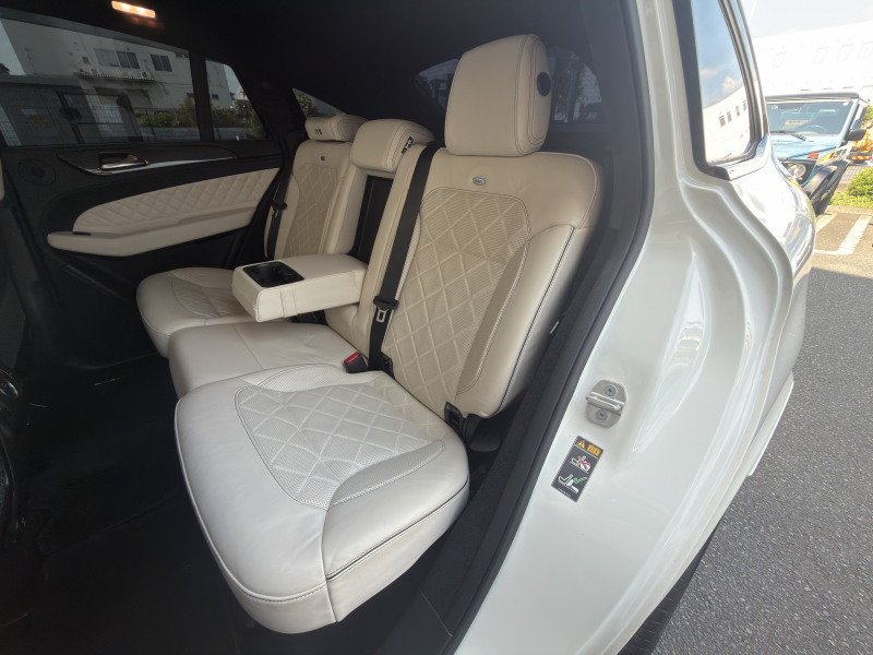 AMG GLE 中古車