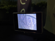 トヨタ(US) タンドラ 中古車