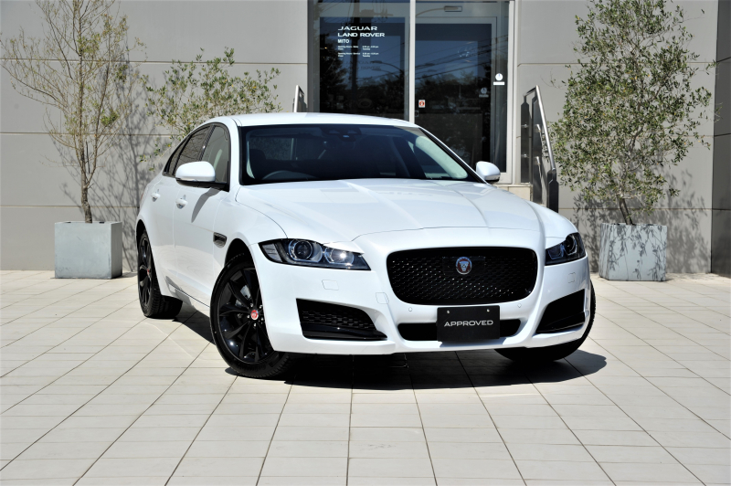 XF