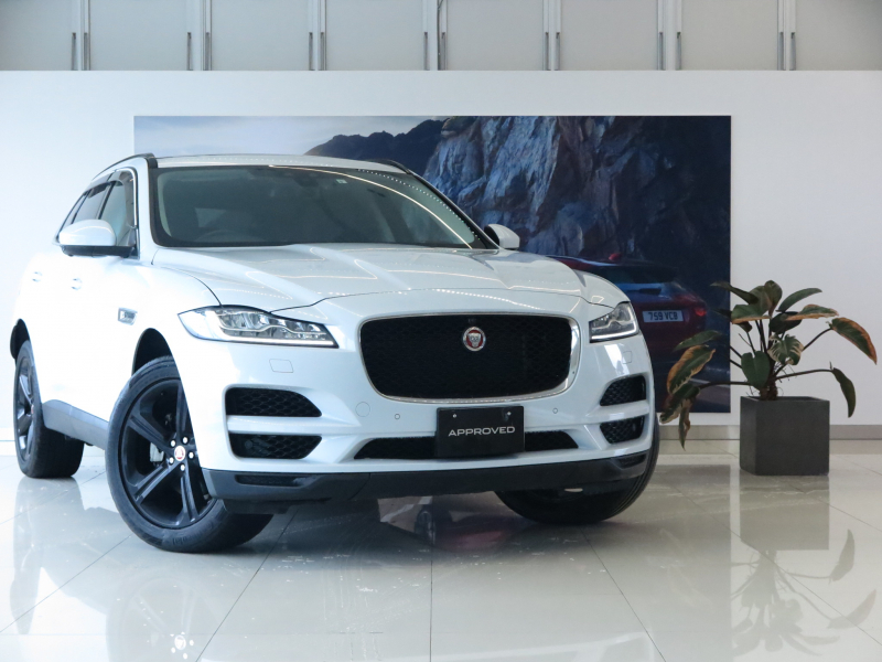 STOCK CARS – JAGUAR F-PACE - ジャガー・ランドローバー柏