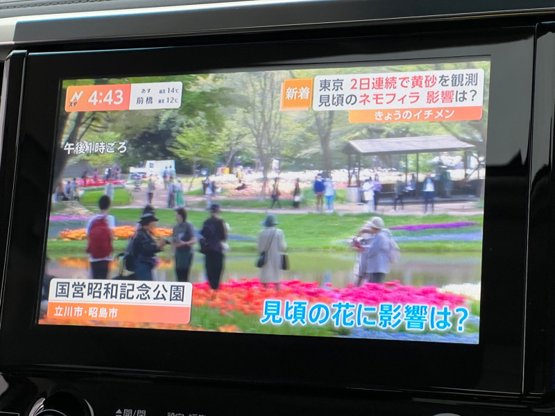 トヨタ アルファード 中古車