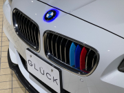 BMW 5シリーズ 中古車