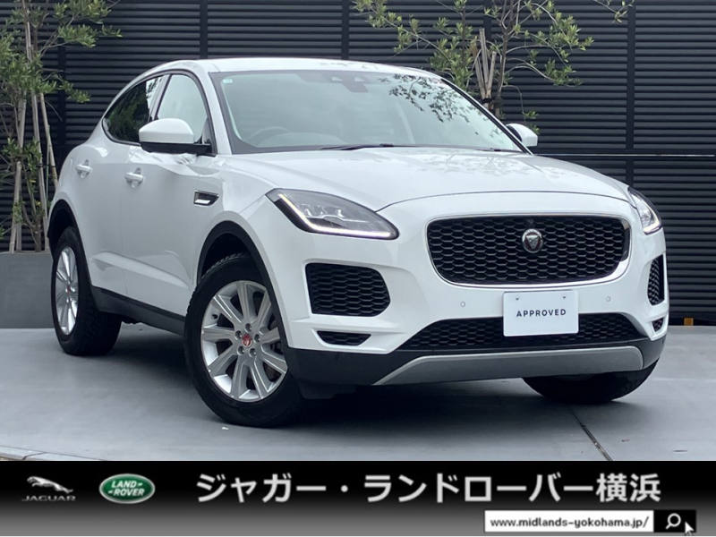 EPACEページ 2018-2022 Jaguar E-Pace Bright Side Tubes J9C9952 | OEM